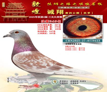 敦煌诚翔决赛249名