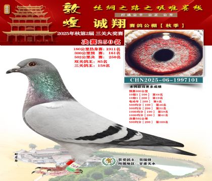 敦煌诚翔决赛250名