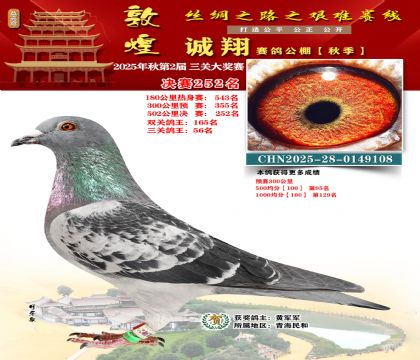 敦煌诚翔决赛252名