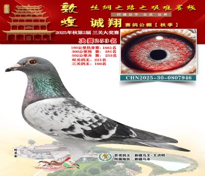 敦煌诚翔决赛253名