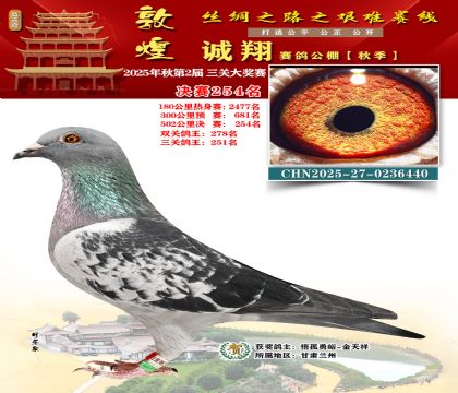 敦煌诚翔决赛254名