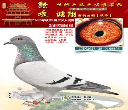 敦煌诚翔决赛255名