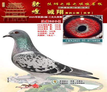 敦煌诚翔决赛256名