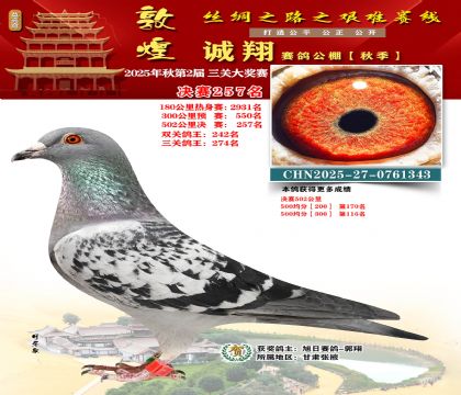 敦煌诚翔决赛257名