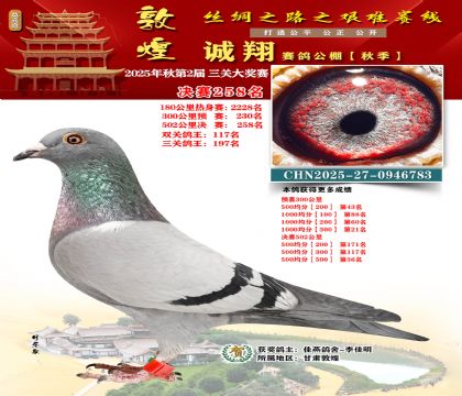 敦煌诚翔决赛258名