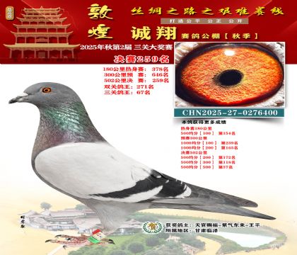 敦煌诚翔决赛259名