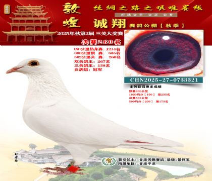 敦煌诚翔决赛260名