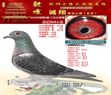 敦煌诚翔决赛261名(三关鸽王10名)