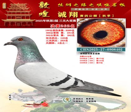 敦煌诚翔决赛262名