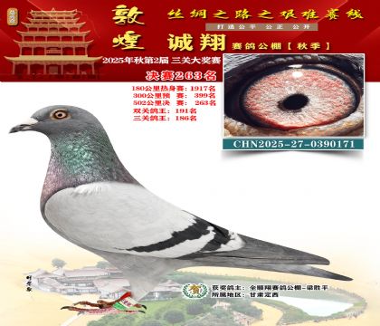 敦煌诚翔决赛263名