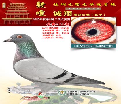 敦煌诚翔决赛264名