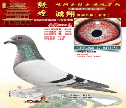 敦煌诚翔决赛265名