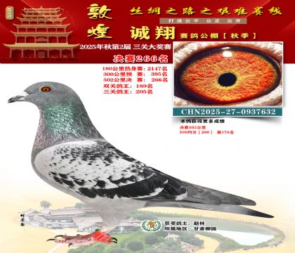 敦煌诚翔决赛266名