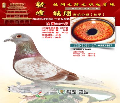 敦煌诚翔决赛267名