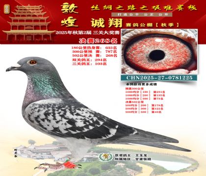 敦煌诚翔决赛268名