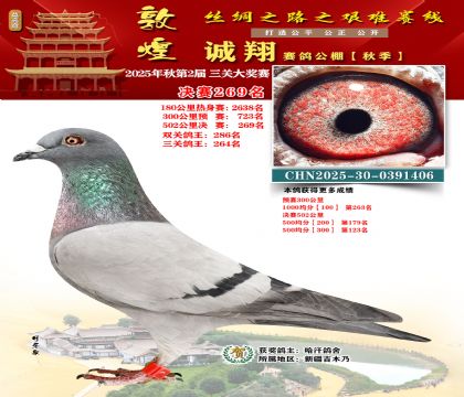 敦煌诚翔决赛269名