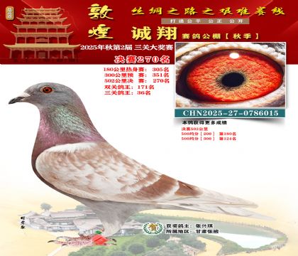 敦煌诚翔决赛270名