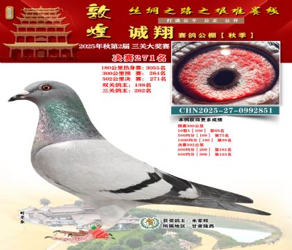 敦煌诚翔决赛271名