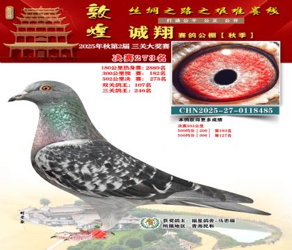 敦煌诚翔决赛273名