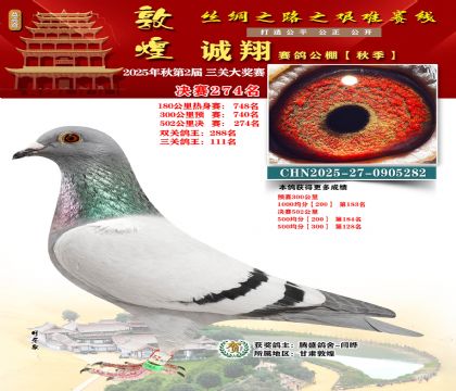 敦煌诚翔决赛274名