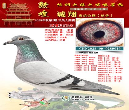 敦煌诚翔决赛275名