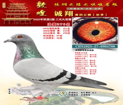 敦煌诚翔决赛276名