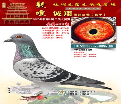 敦煌诚翔决赛277名