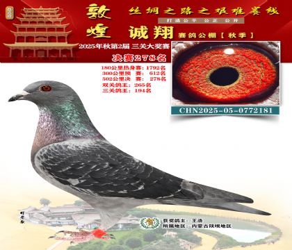 敦煌诚翔决赛278名