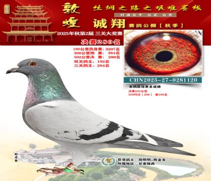 敦煌诚翔决赛280名