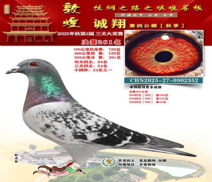 敦煌诚翔决赛281名