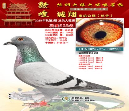 敦煌诚翔决赛282名