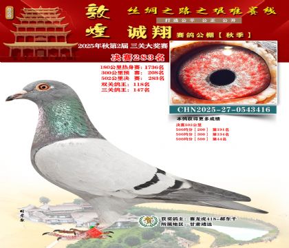 敦煌诚翔决赛283名