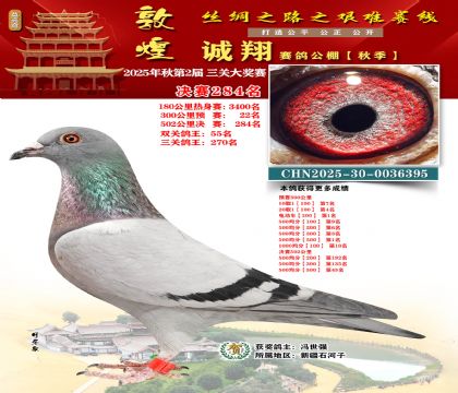 敦煌诚翔决赛284名