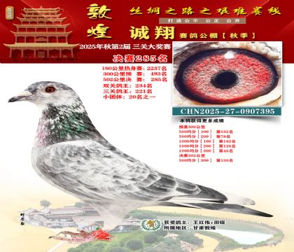 敦煌诚翔决赛285名