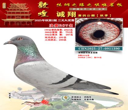 敦煌诚翔决赛287名