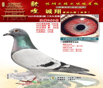 敦煌诚翔决赛288名