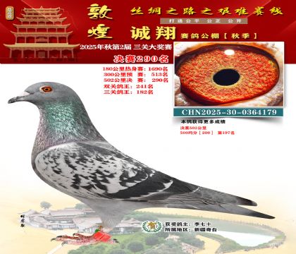 敦煌诚翔决赛290名