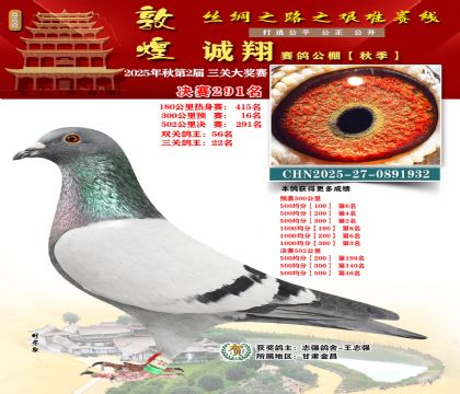 敦煌诚翔决赛291名