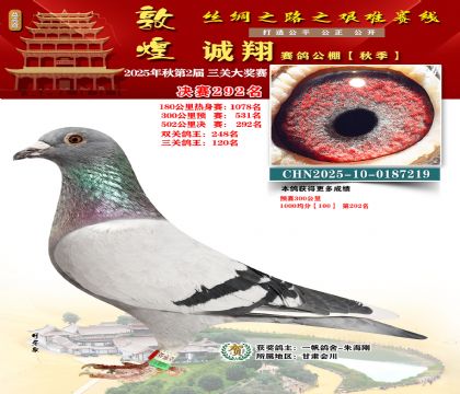 敦煌诚翔决赛292名