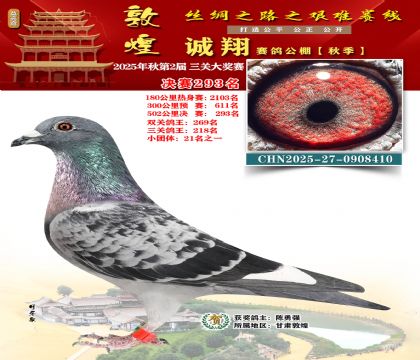 敦煌诚翔决赛293名