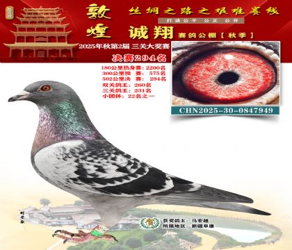 敦煌诚翔决赛294名