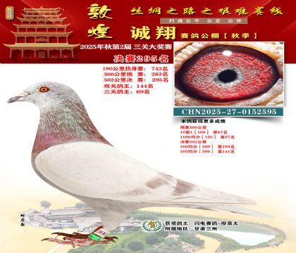 敦煌诚翔决赛295名