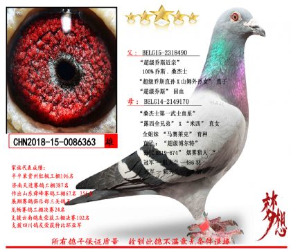 喬斯桑杰士X桑杰士第一武士