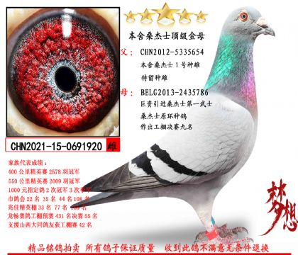 桑杰士1號(hào)種雄齔觶ǔ督鵡福�