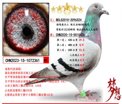 晚生湯姆X雙關(guān)冠軍三冠亞軍