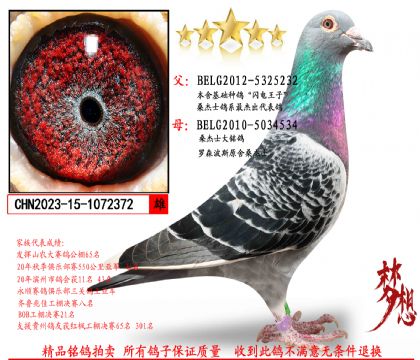 桑杰士(閃電王子)X原舍桑杰士