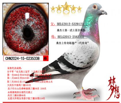 桑杰士傳奇銘鴿(第一武士)