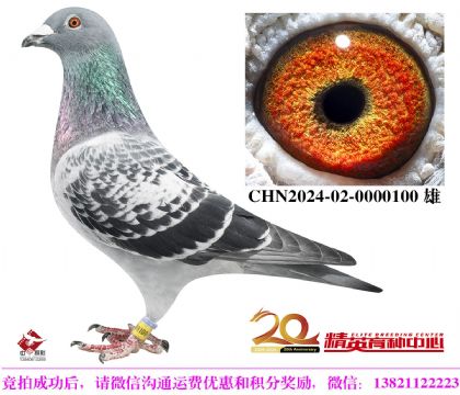 最佳基特爾頂級(jí)配對(duì)直子