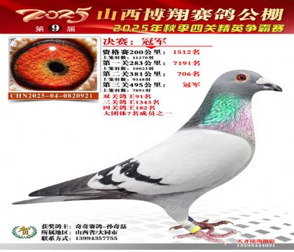 山西博翔决赛冠军