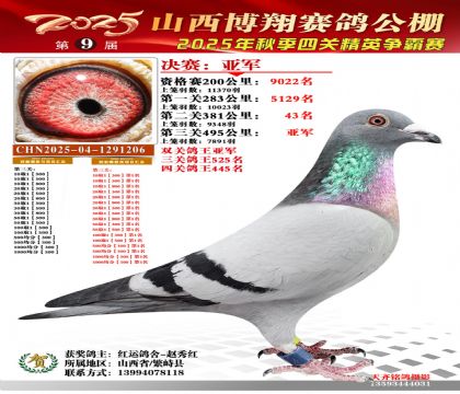 山西博翔决赛亚军(双关鸽王亚军)